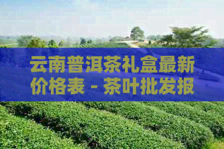 云南普洱茶礼盒最新价格表 - 茶叶批发报价大全