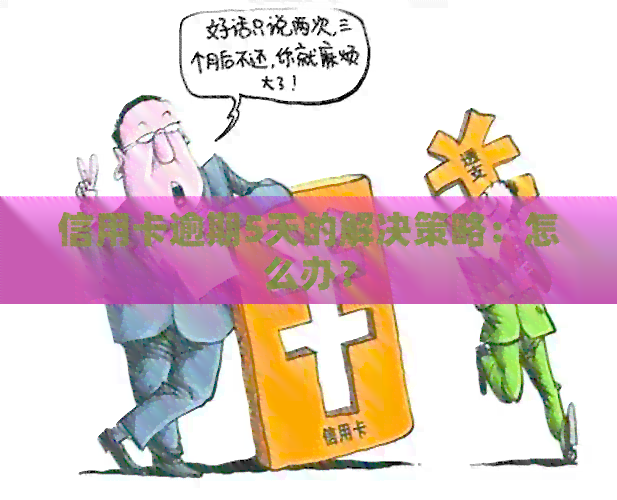 信用卡逾期5天的解决策略：怎么办？