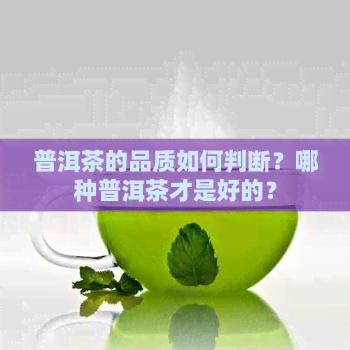 普洱茶的品质如何判断？哪种普洱茶才是好的？