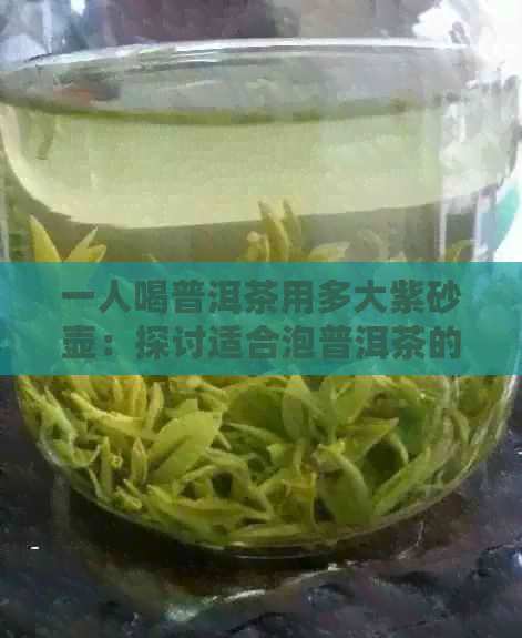 一人喝普洱茶用多大紫砂壶：探讨适合泡普洱茶的紫砂壶容量