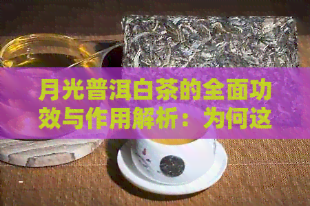 月光普洱白茶的全面功效与作用解析：为何这种茶受到广泛追捧？