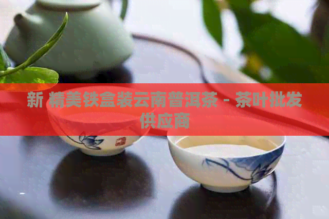 新 精美铁盒装云南普洱茶 - 茶叶批发供应商