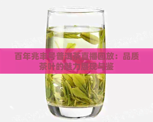 百年兆丰号普洱茶直播回放：品质茶叶的魅力展现与鉴