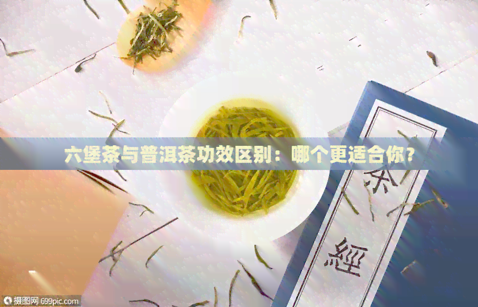 六堡茶与普洱茶功效区别：哪个更适合你？