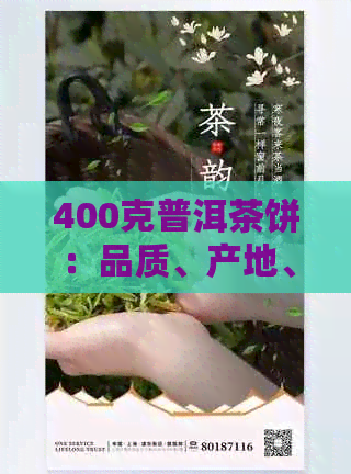 400克普洱茶饼：品质、产地、冲泡方法及收藏价值全解析