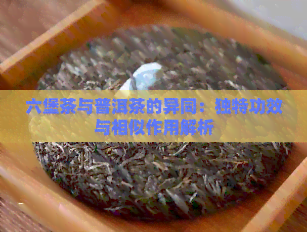 六堡茶与普洱茶的异同：独特功效与相似作用解析