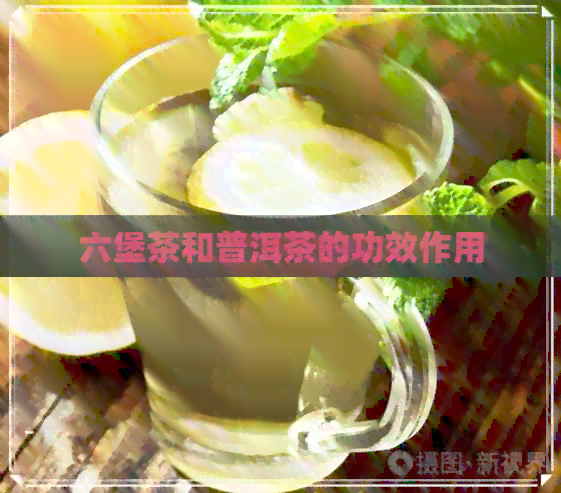 六堡茶和普洱茶的功效作用