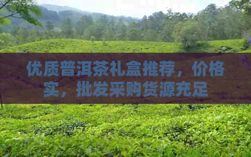 优质普洱茶礼盒推荐，价格实，批发采购货源充足