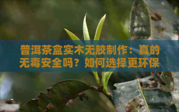 普洱茶盒实木无胶制作：真的无安全吗？如何选择更环保的茶叶容器？