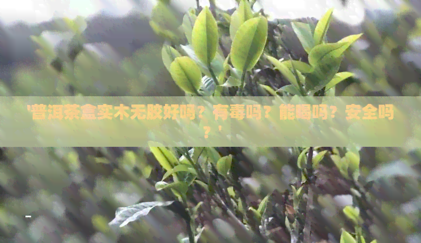 '普洱茶盒实木无胶好吗？有吗？能喝吗？安全吗？'