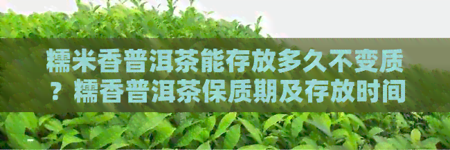 糯米香普洱茶能存放多久不变质？糯香普洱茶保质期及存放时间解析