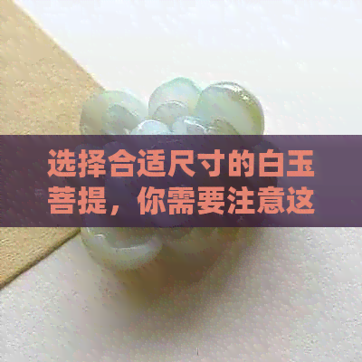 选择合适尺寸的白玉菩提，你需要注意这些要点