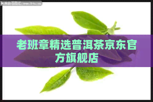 老班章精选普洱茶京东官方旗舰店