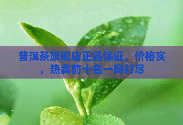 普洱茶旗舰店正品保证，价格实，热卖前十名一网打尽