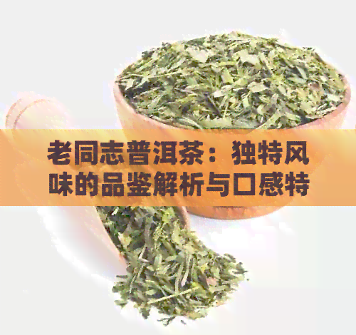 老同志普洱茶：独特风味的品鉴解析与口感特征