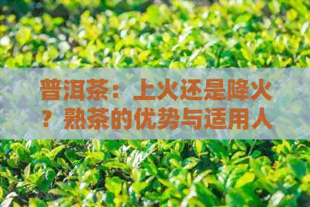 普洱茶：上火还是降火？熟茶的优势与适用人群详解