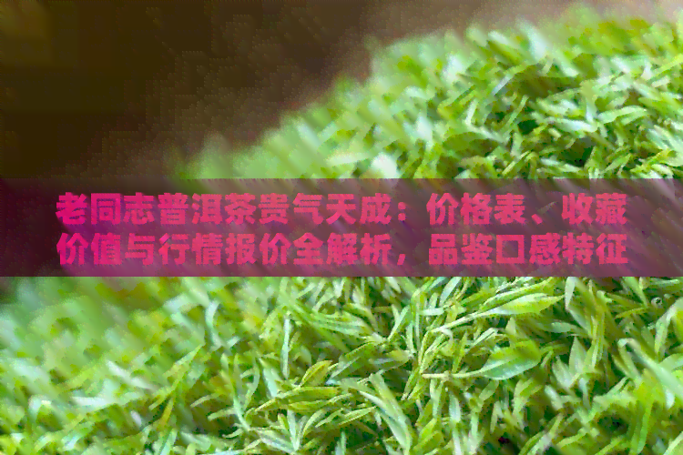 老同志普洱茶贵气天成：价格表、收藏价值与行情报价全解析，品鉴口感特征