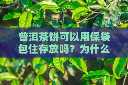 普洱茶饼可以用保袋包住存放吗？为什么？-保膜可以包裹普洱茶饼吗？