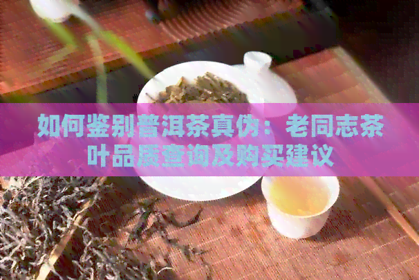 如何鉴别普洱茶真伪：老同志茶叶品质查询及购买建议