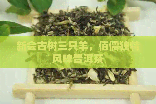 新会古树三只羊，佰儒独特风味普洱茶