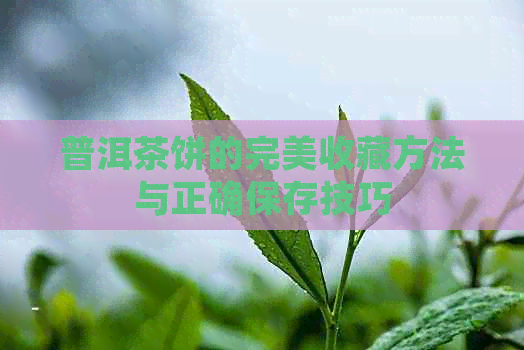 普洱茶饼的完美收藏方法与正确保存技巧