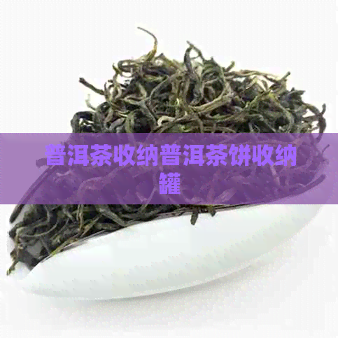 普洱茶收纳普洱茶饼收纳罐