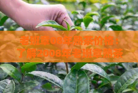 老班章08年熟茶价格：了解2008年老班章熟茶市场行情与价格走势