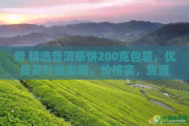 新 精选普洱茶饼200克包装，优质茶叶批发商，价格实，货源稳定