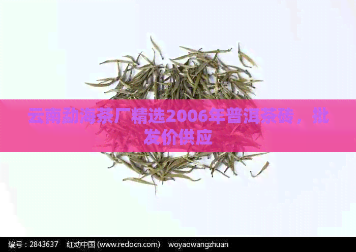 云南勐海茶厂精选2006年普洱茶砖，批发价供应