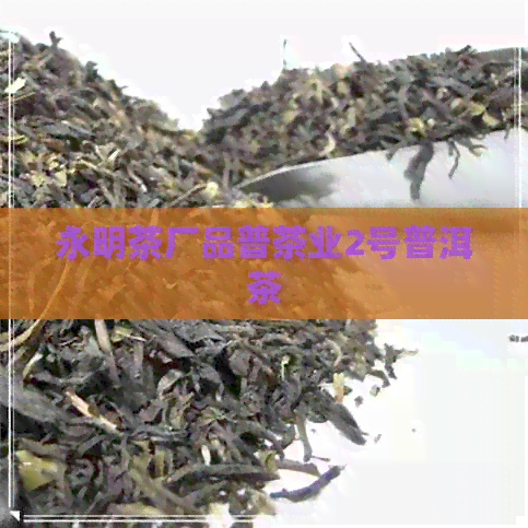 永明茶厂品普茶业2号普洱茶