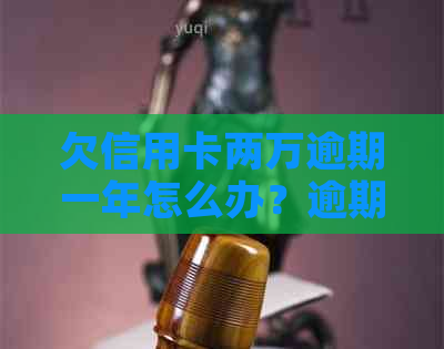 欠信用卡两万逾期一年怎么办？逾期一年后果与应对措