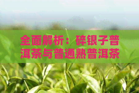 全面解析：碎银子普洱茶与普通熟普洱茶的异同，让你轻松辨别两者之间的区别