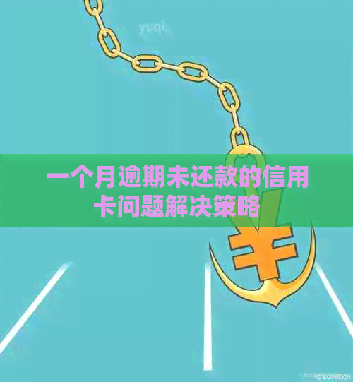 一个月逾期未还款的信用卡问题解决策略