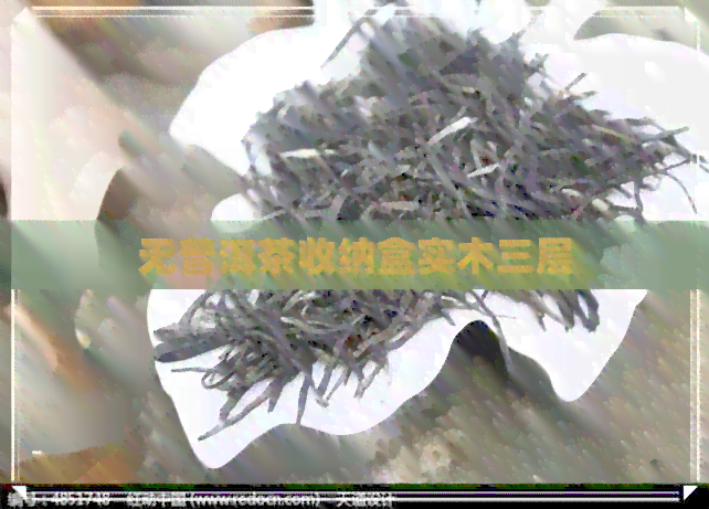 无普洱茶收纳盒实木三层