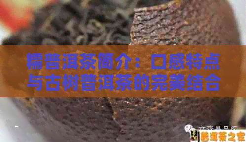 糯普洱茶简介：口感特点与古树普洱茶的完美结合