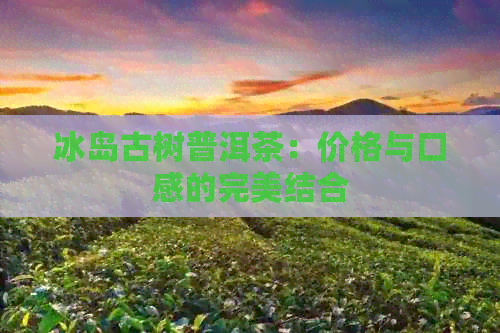 冰岛古树普洱茶：价格与口感的完美结合