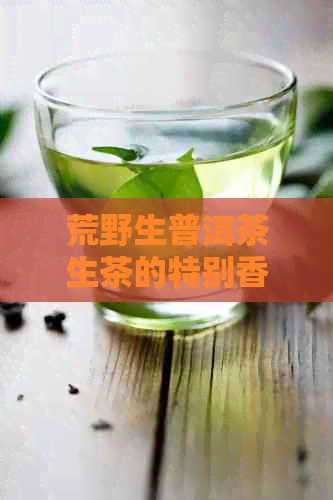 荒野生普洱茶生茶的特别香气探索：一款口感与特点皆独特的解析