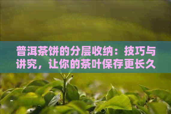 普洱茶饼的分层收纳：技巧与讲究，让你的茶叶保存更长久