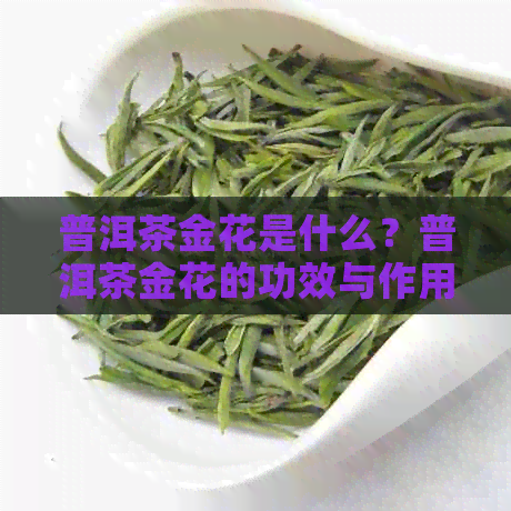 普洱茶金花是什么？普洱茶金花的功效与作用有哪些？能否饮用？