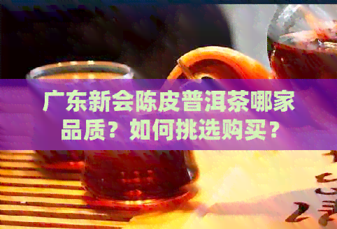 广东新会陈皮普洱茶哪家品质？如何挑选购买？