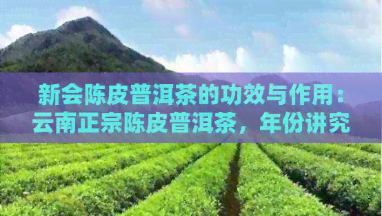 新会陈皮普洱茶的功效与作用：云南正宗陈皮普洱茶，年份讲究与多种功效解析