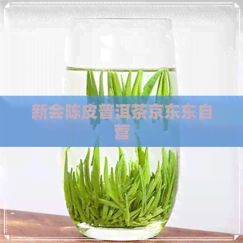 新会陈皮普洱茶京东东自营