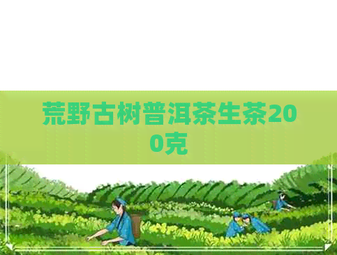 荒野古树普洱茶生茶200克