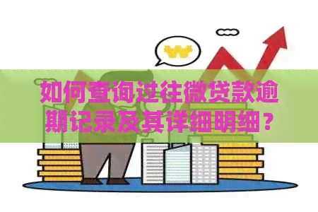 如何查询过往微贷款逾期记录及其详细明细？全面解决用户搜索需求