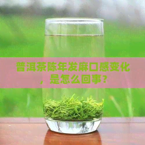 普洱茶陈年发麻口感变化，是怎么回事？