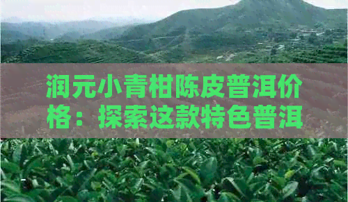 润元小青柑陈皮普洱价格：探索这款特色普洱茶的品质与价值