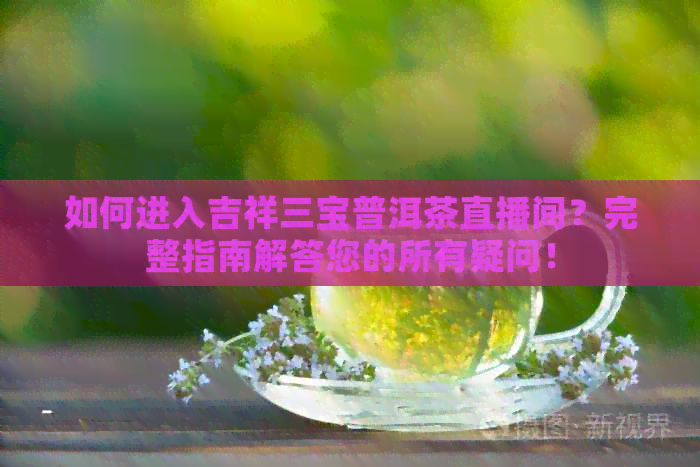 如何进入吉祥三宝普洱茶直播间？完整指南解答您的所有疑问！