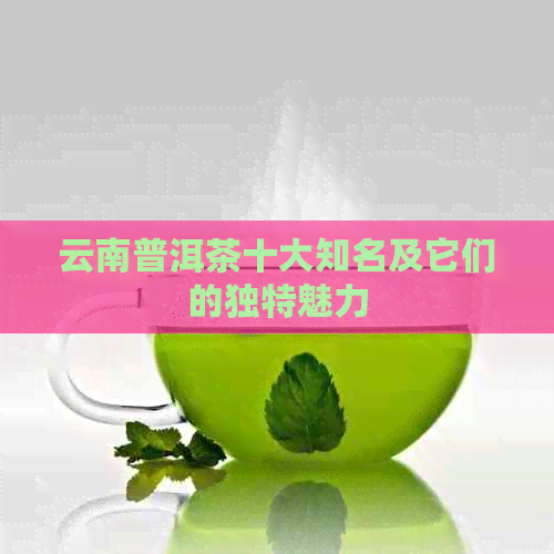 云南普洱茶十大知名及它们的独特魅力