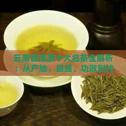 云南普洱茶十大名茶全解析：从产地、品质、功效到冲泡方法一应俱全！