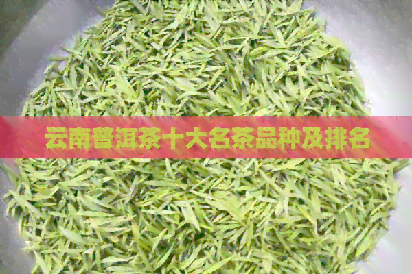 云南普洱茶十大名茶品种及排名